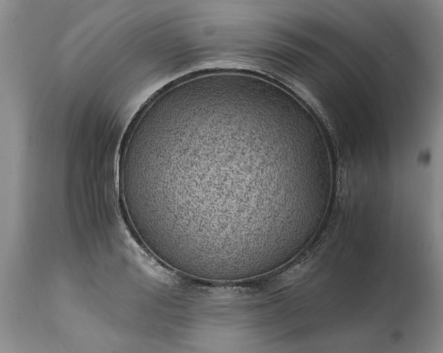 X0000115000988200911091354