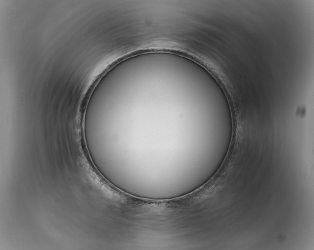 X0000115000990200911091354