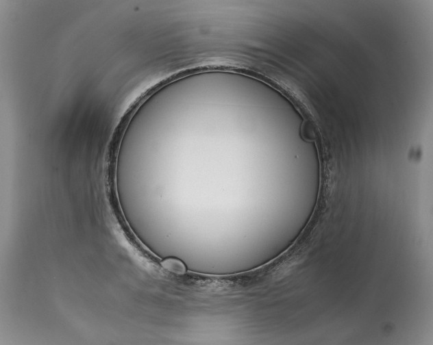X0000115000991200911091354