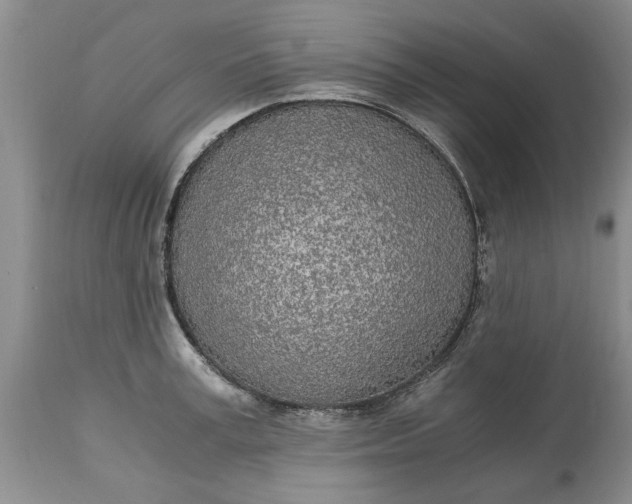 X0000115000995200911091354