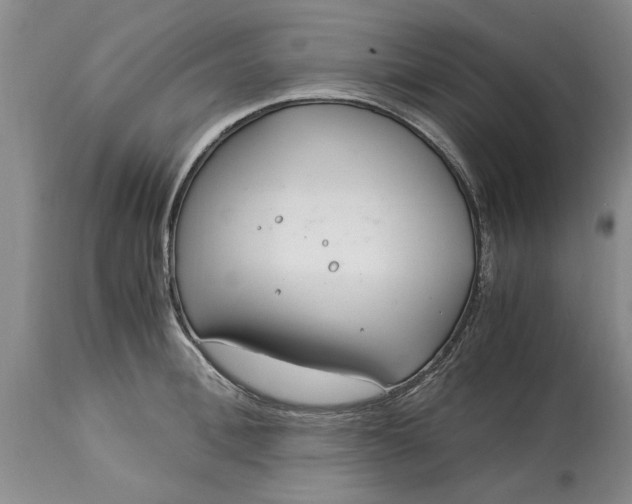 X0000115000996200911091354