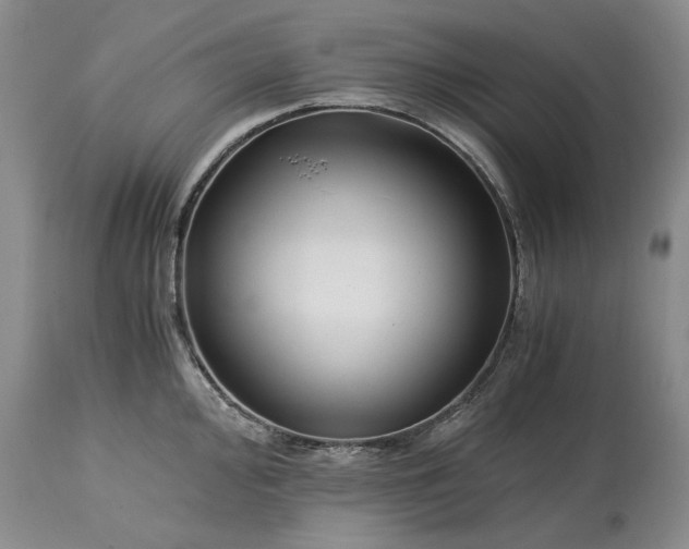 X0000115001000200911091354