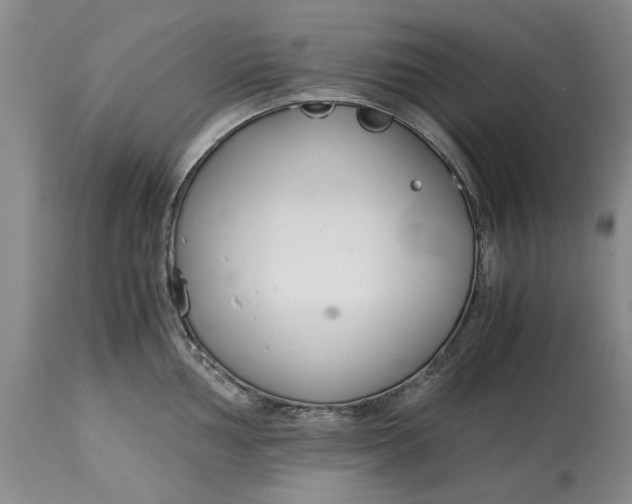 X0000115001002200911091354