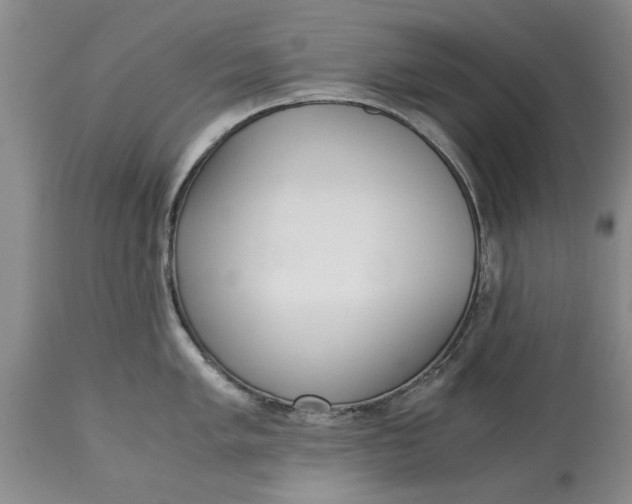 X0000115001005200911091354