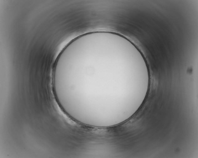 X0000115001006200911091354