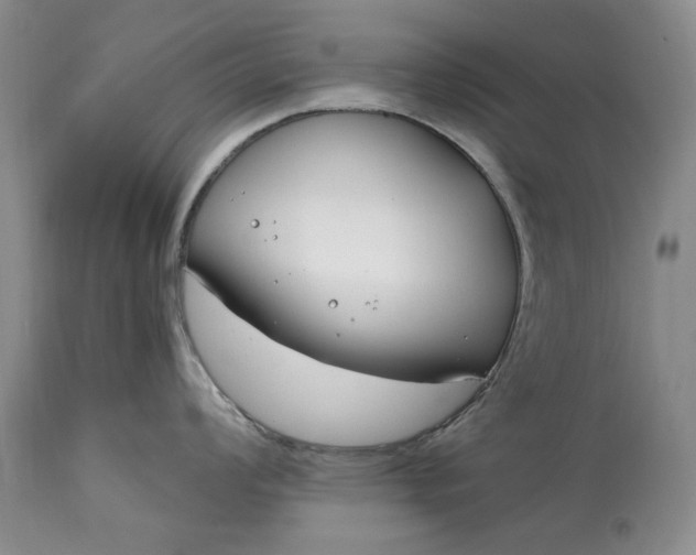 X0000115001008200911091354