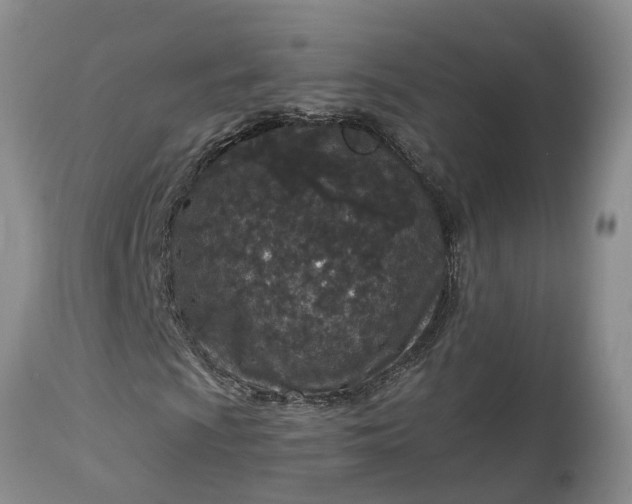 X0000115001009200911091353