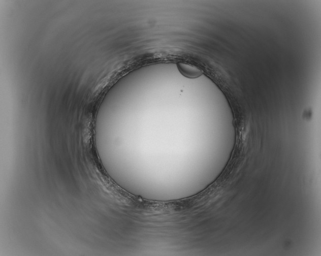 X0000115001012200911091353