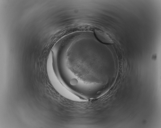 X0000115001013200911091353