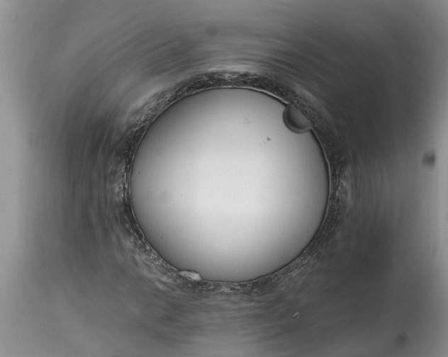 X0000115001014200911091353