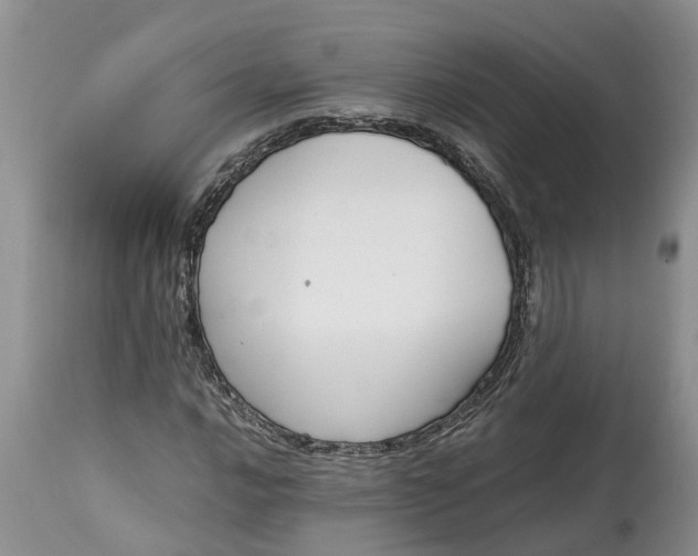 X0000115001016200911091353
