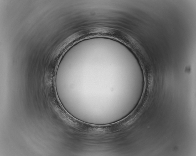 X0000115001017200911091353