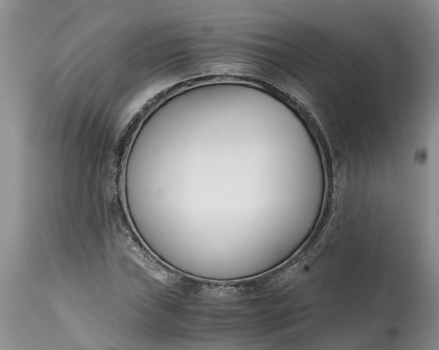 X0000115001019200911091353