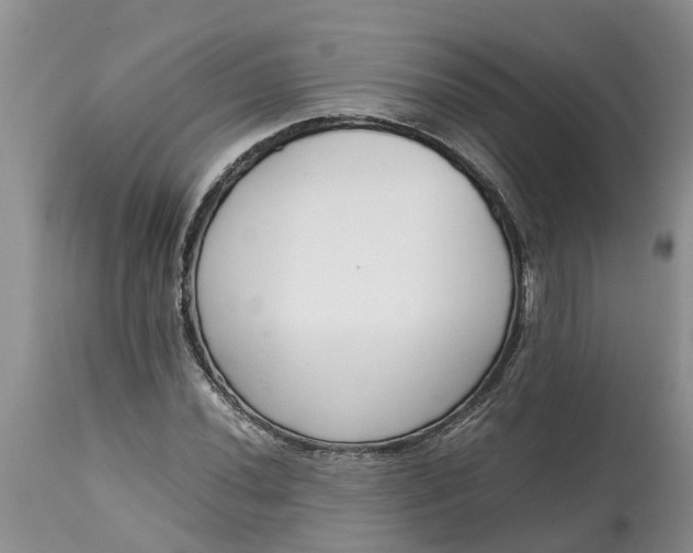 X0000115001020200911091353