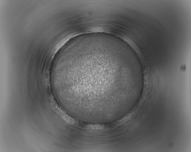 X0000115001023200911091353