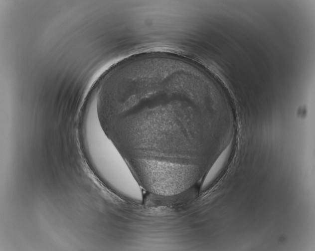 X0000115001024200911091353