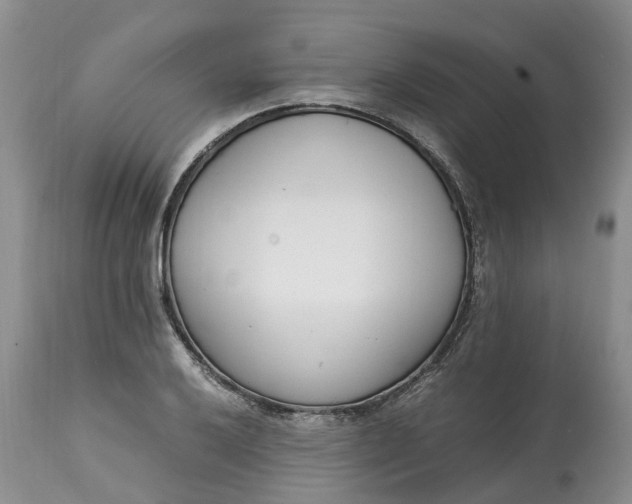 X0000115001032200911091353
