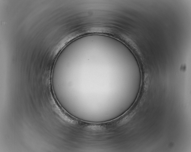 X0000115001033200911091353