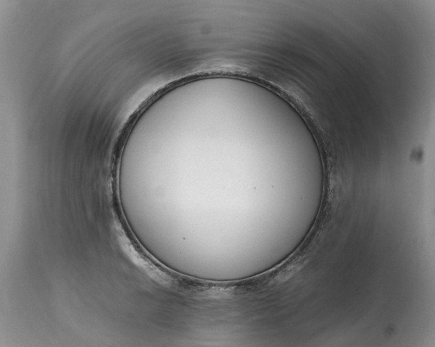 X0000115001038200911091353