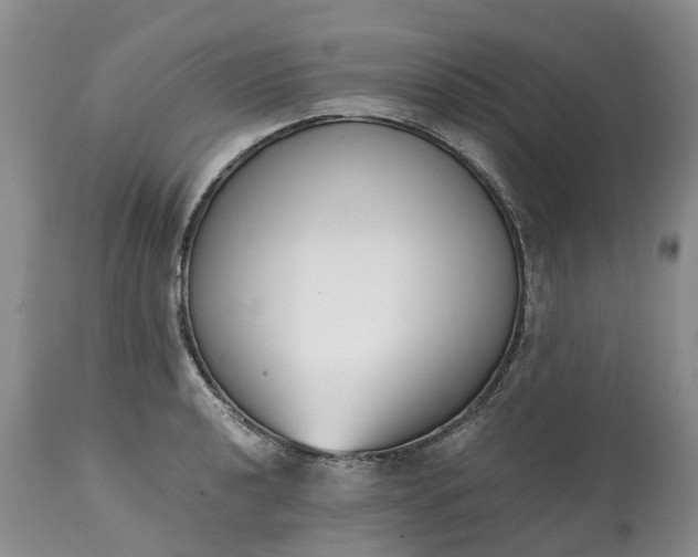 X0000115001040200911091353