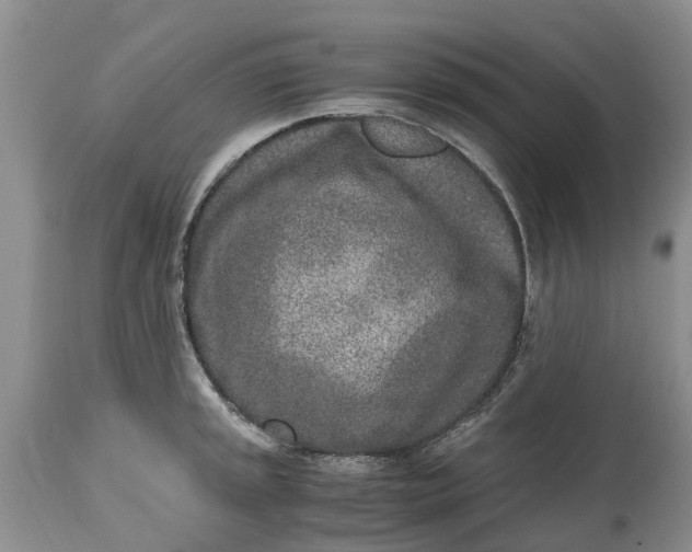 X0000115001045200911091354