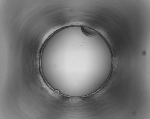 X0000115001046200911091354