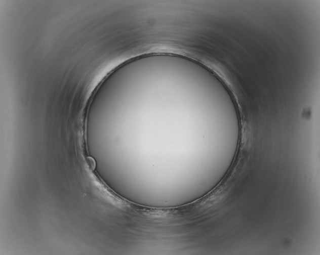 X0000115001048200911091354