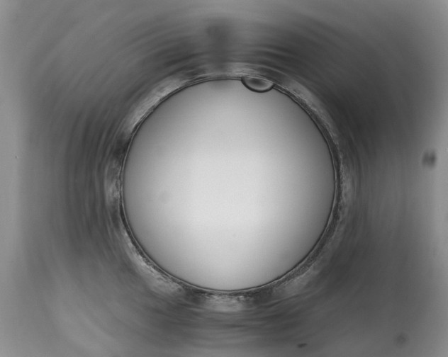 X0000115001049200911091354