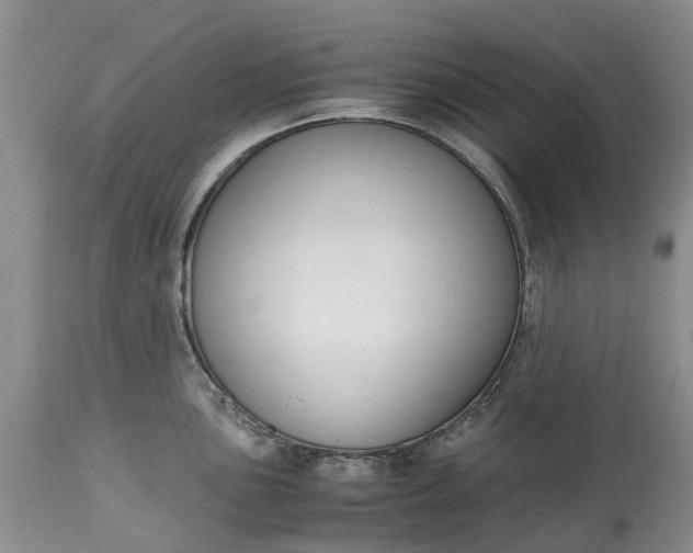 X0000115001051200911091354