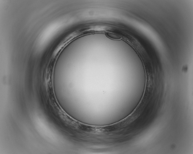 X0000115001052200911091354
