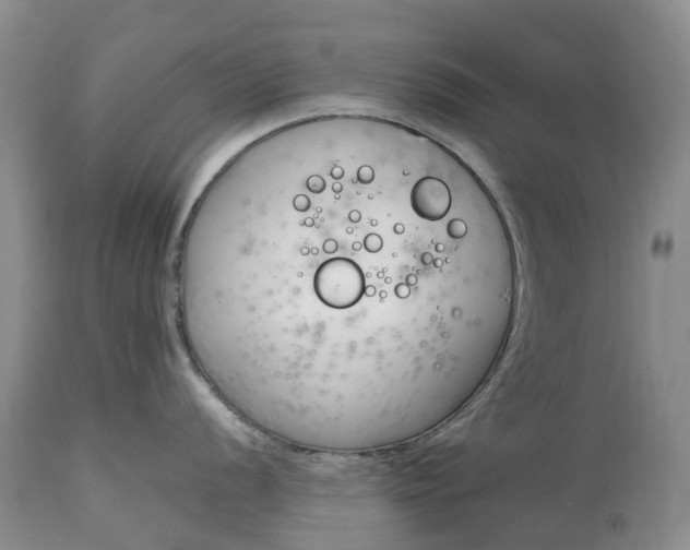 X0000115001056200911091354