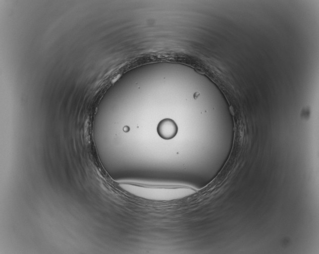 X0000115001060200911091353