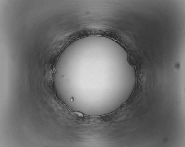 X0000115001061200911091353