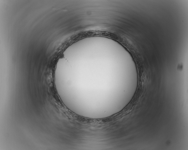 X0000115001062200911091353