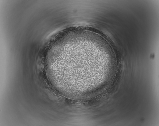 X0000115001063200911091353