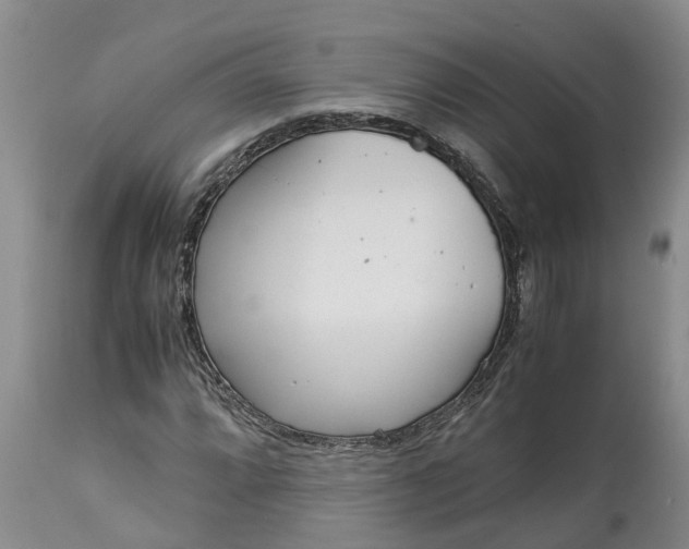 X0000115001064200911091353