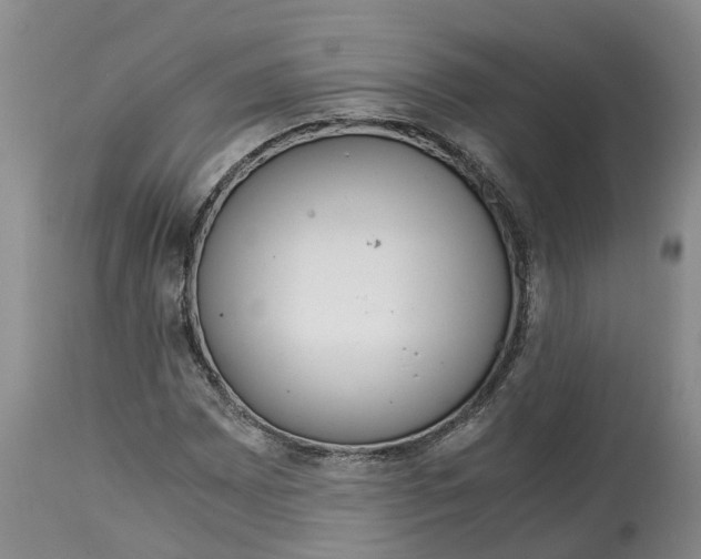 X0000115001065200911091353