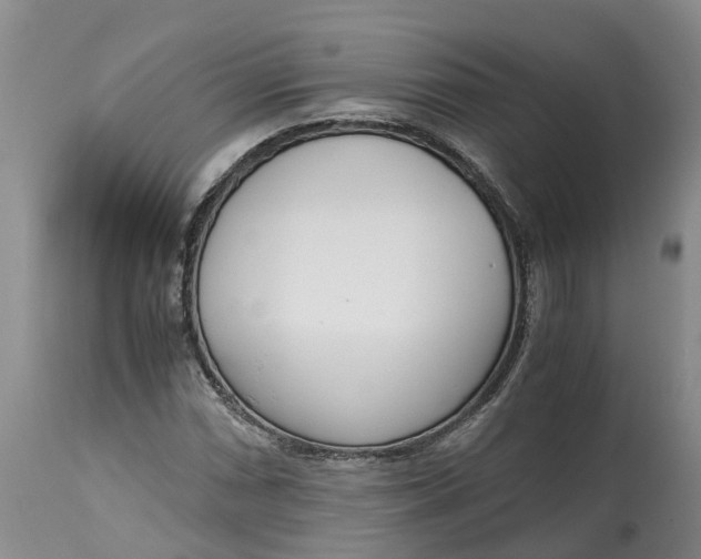 X0000115001066200911091353