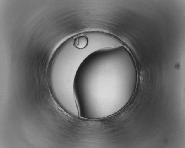 X0000115001068200911091353
