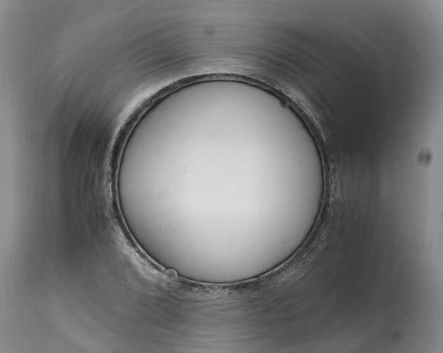 X0000115001072200911091353