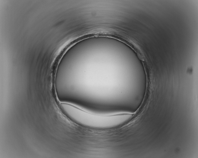 X0000115001075200911091353