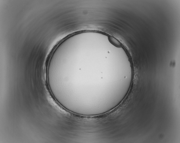 X0000115001080200911091353