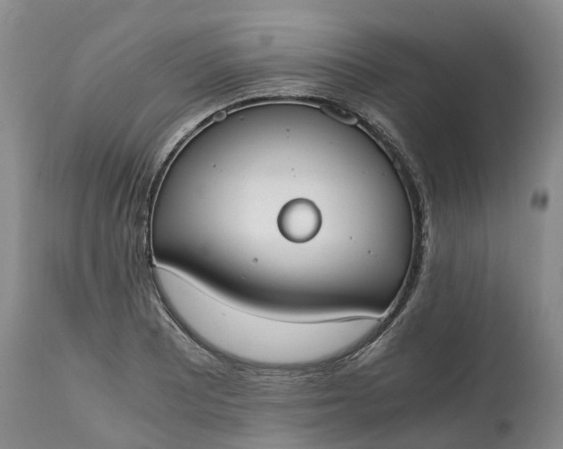 X0000115001081200911091353