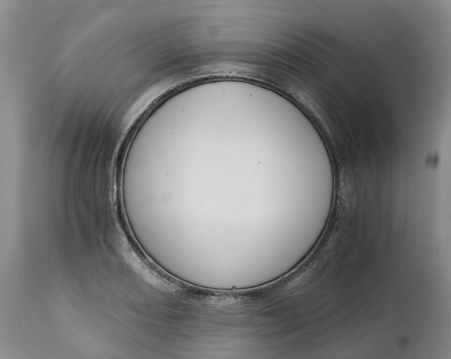 X0000115001082200911091353
