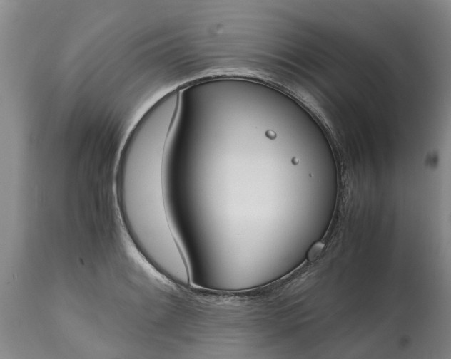 X0000115001084200911091353