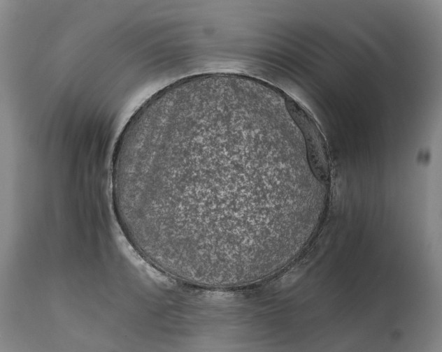 X0000115001088200911091353