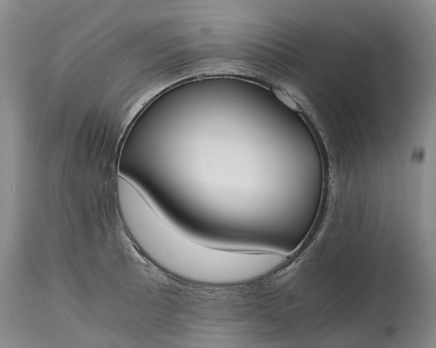 X0000115001089200911091353