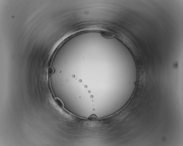 X0000115001092200911091353