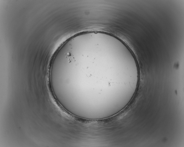 X0000115001093200911091353