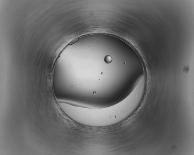 X0000115001097200911091352